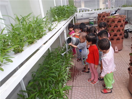 Các bạn nhỏ lớp C4 hứng thú với hoạt động chăm sóc vườn rau